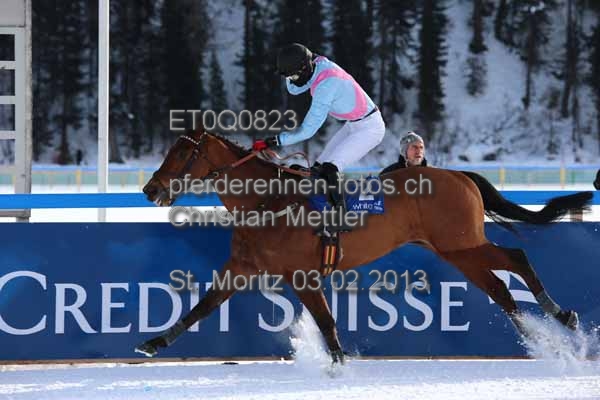ET0Q0823 prot